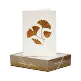 Fall Litho Stay Connected Packet