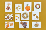 Fall Litho Stay Connected Packet
