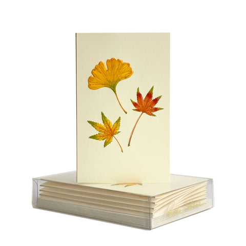 Leaf Medley Boxed Mini Note