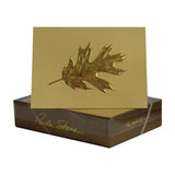 New Fall Foil Stay Connected Packet