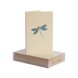 NEW Summer Stay Connected Packet