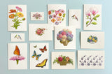 NEW Spring Stay Connected Packet