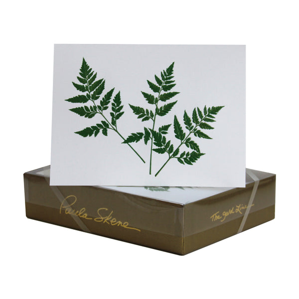 Fern