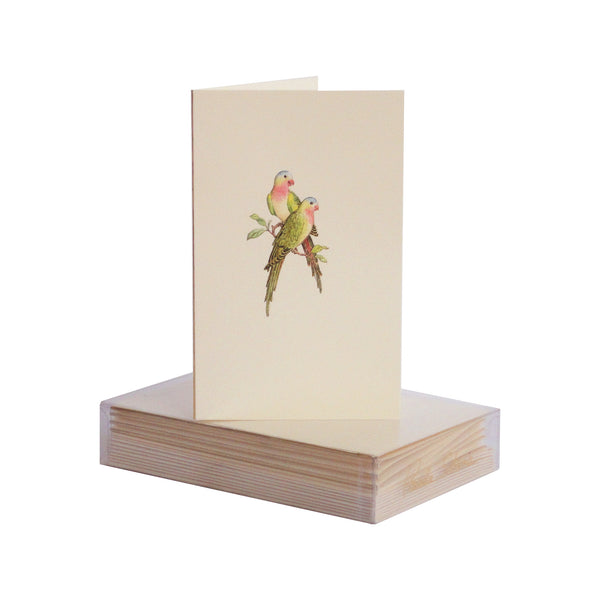 Parrots Boxed Mini Note
