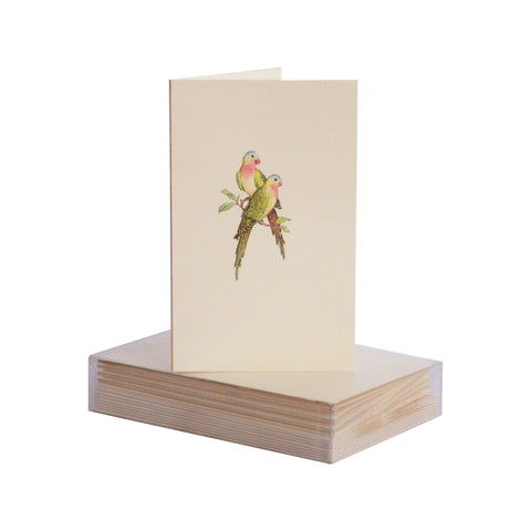 Parrots Boxed Mini Note