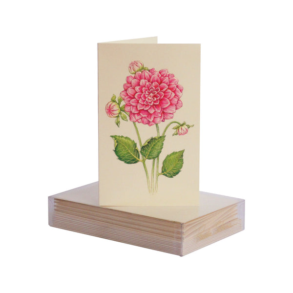 Dahlia Boxed Mini Note