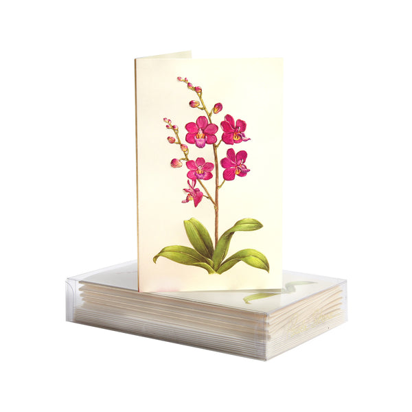 Orchid Boxed Mini Note