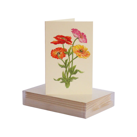 Colorful Poppies Boxed Mini Note