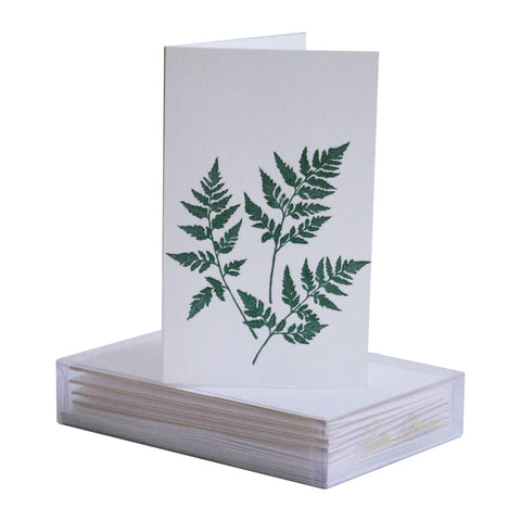 Fern Boxed Mini Note