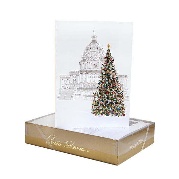 Washington DC  Capitol