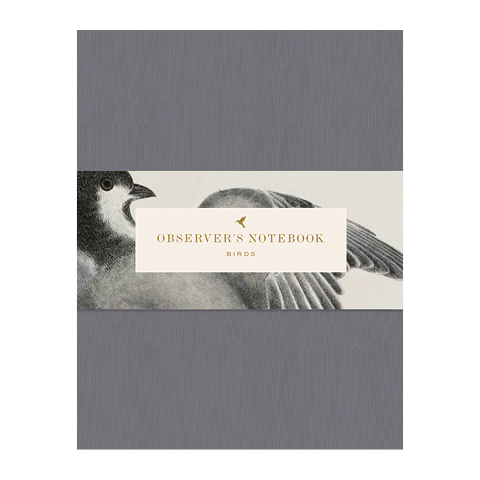 Observers Notebook: Birds