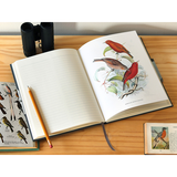 Observers Notebook: Birds