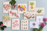 Spring Stay Connected Packet