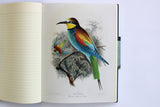Observers Notebook: Birds