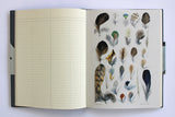 Observers Notebook: Birds