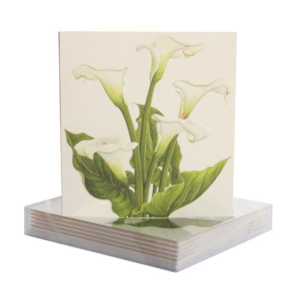 Calla Lily Group - Sympathy Greeting Card