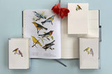 Observers Notebook: Birds