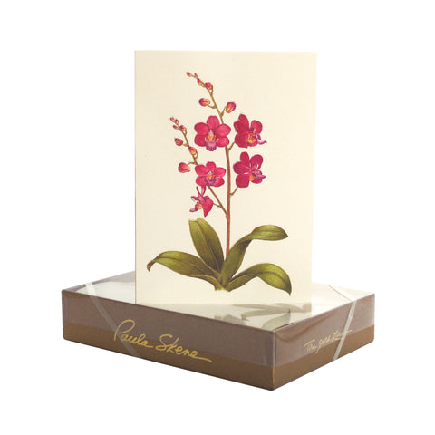 Orchid - Sympathy Greeting Card
