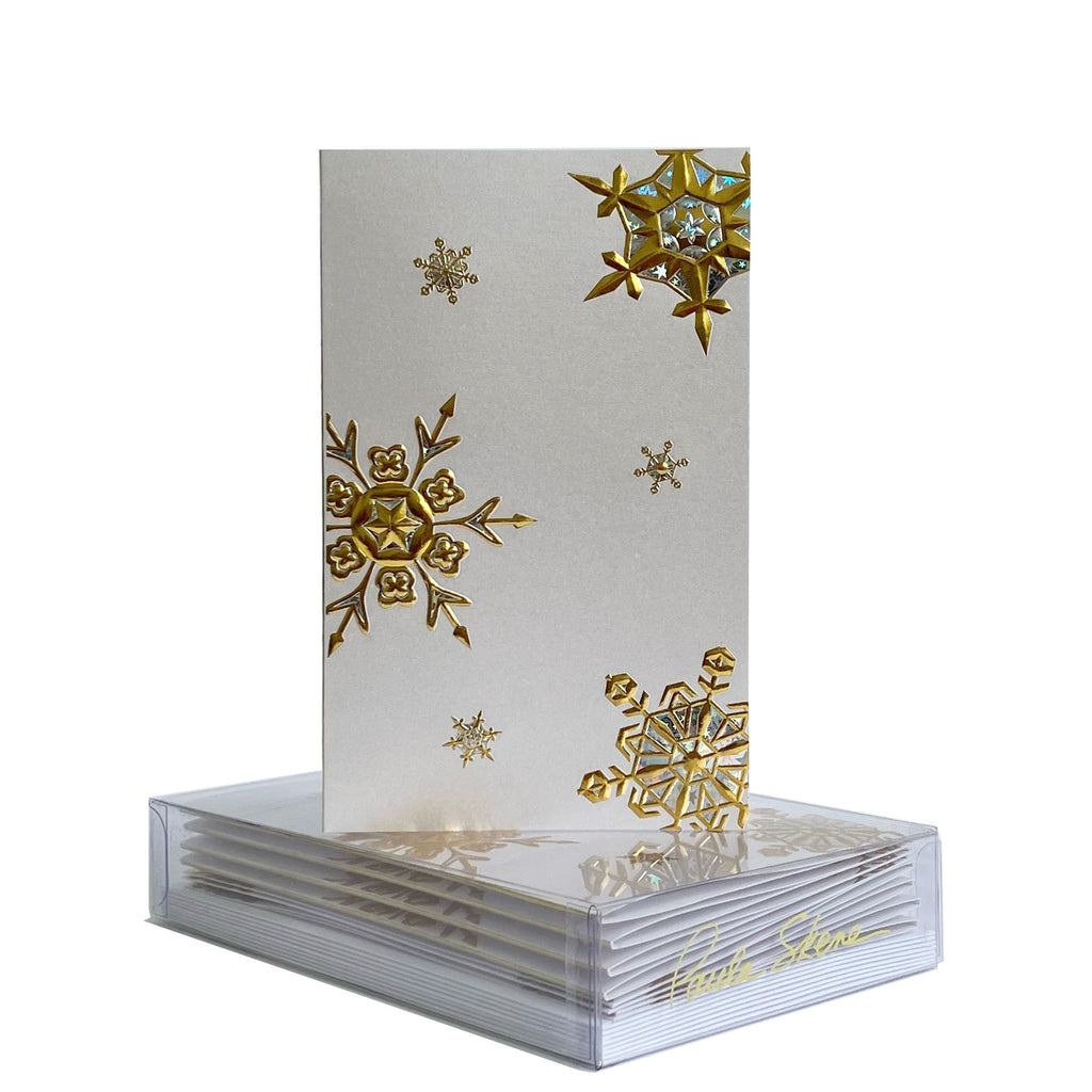 Snowflake Gift Notes Snowflake Medley Boxed Mini Note – Paula Skene Designs